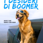 I DESIDERI DI BOOMER