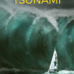 Copertina Tsunami - Stefano D'Orazio